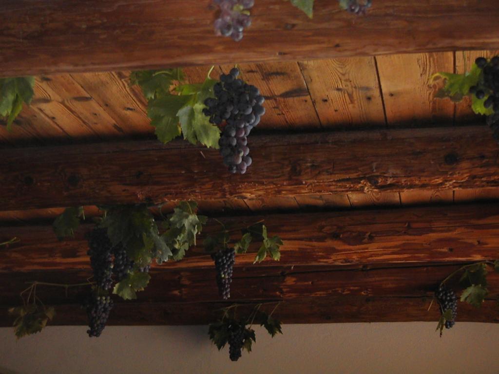 B&B Al Cristo SantʼAmbrogio di Valpolicella Extérieur photo