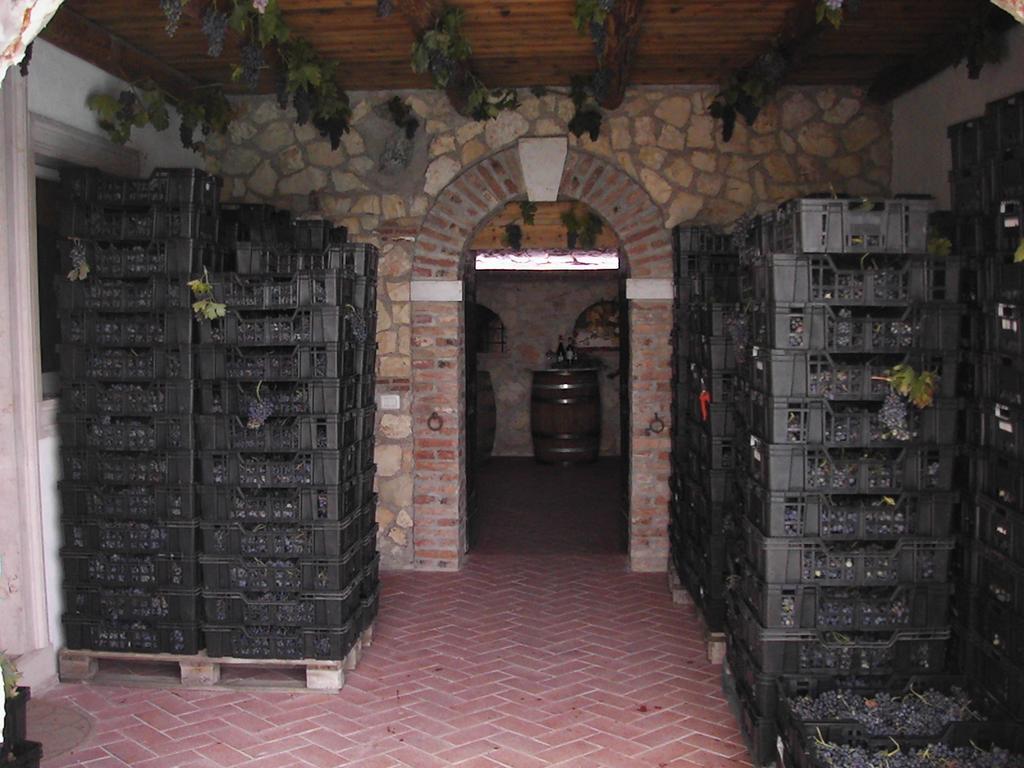 B&B Al Cristo SantʼAmbrogio di Valpolicella Extérieur photo